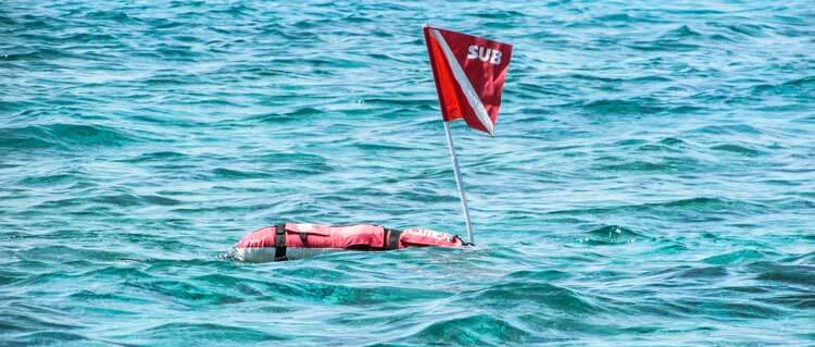 what does a diver down flag look like