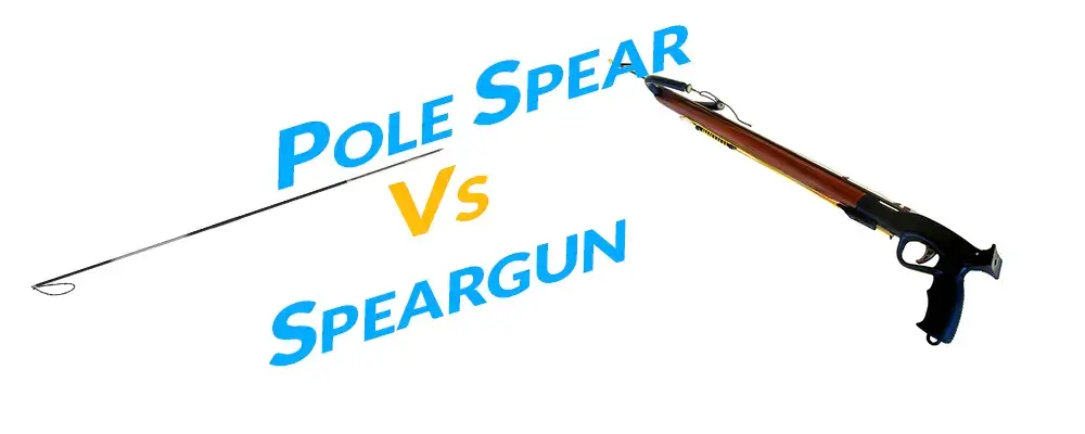 Pole Spear Vs Speargun
